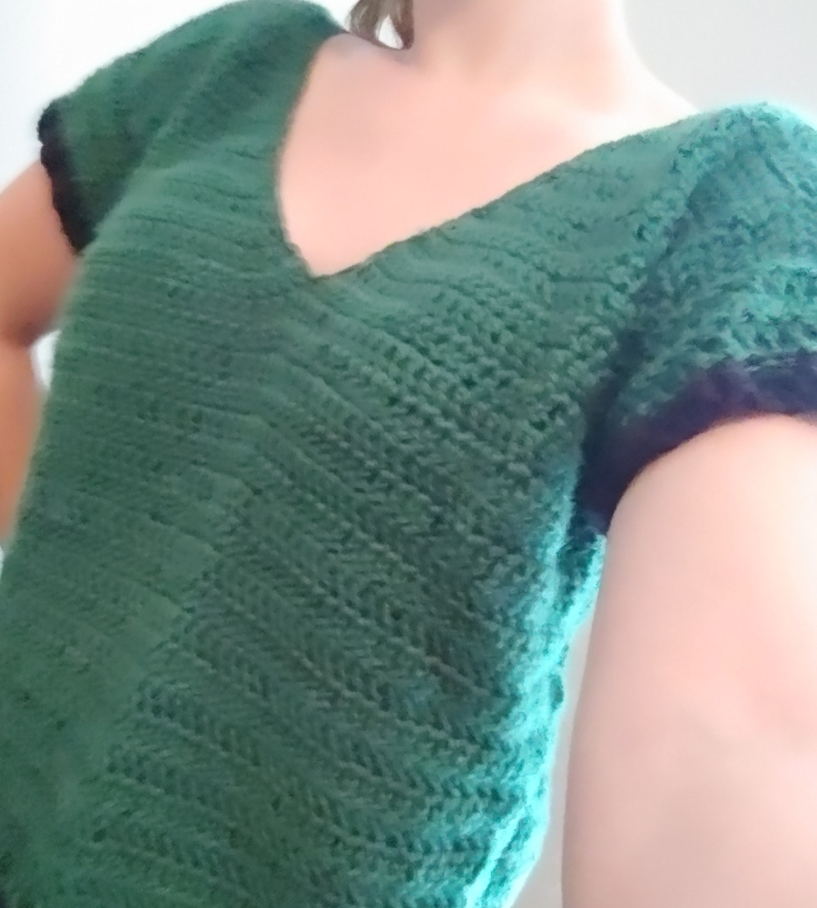 Cropped V-Neck Crochet T-Shirt Top